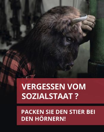 Vergessen vom Sozialstaat? Packen Sie den Stier bei den Hörnern!